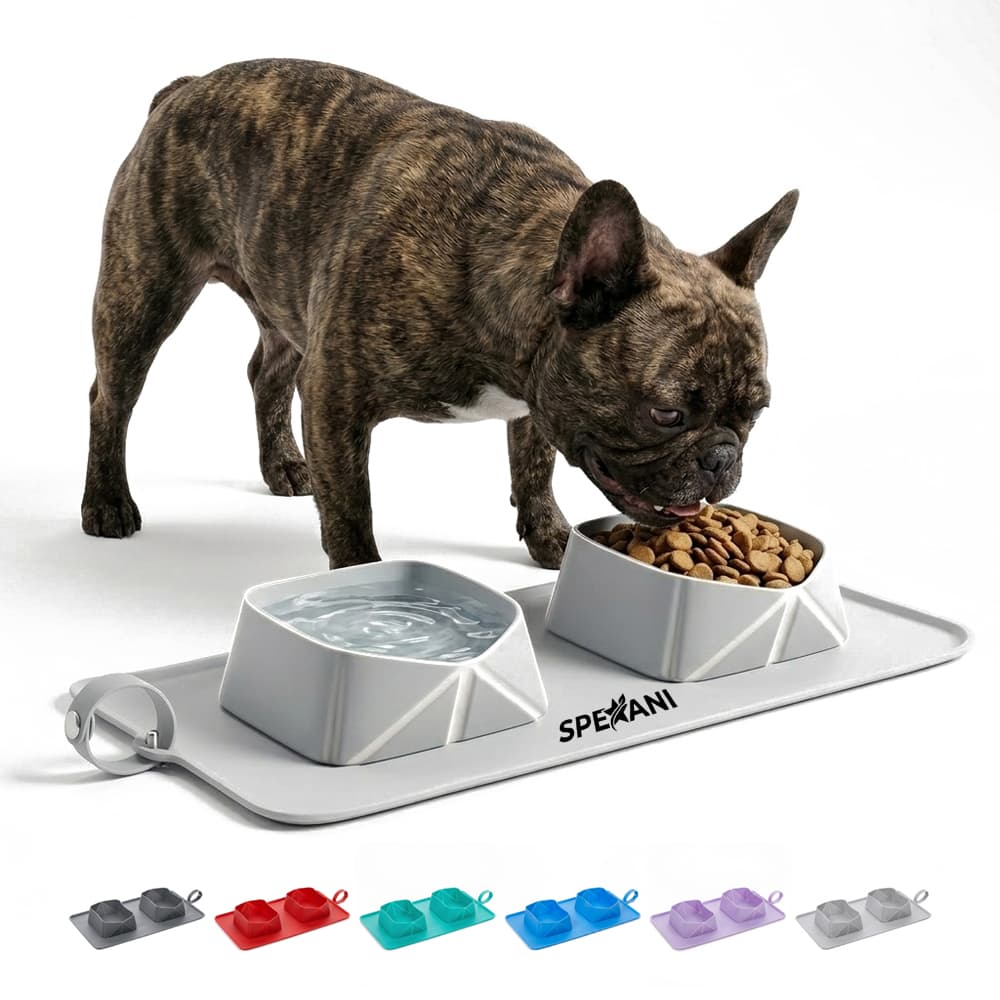 Collapsible Silicone Twin Pet Bowls